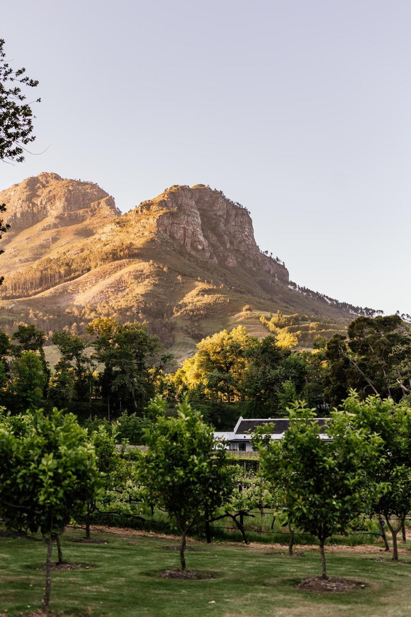 MolenVliet Vineyards Hotell Stellenbosch Eksteriør bilde
