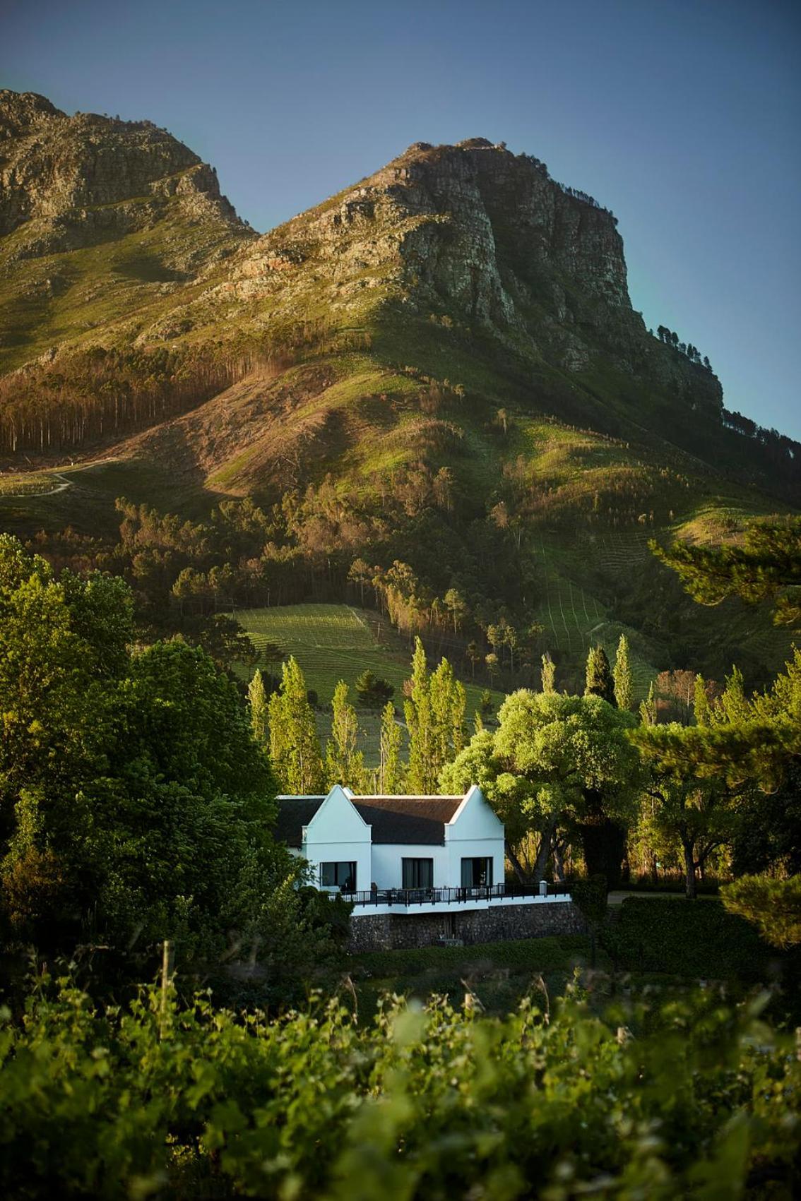MolenVliet Vineyards Hotell Stellenbosch Eksteriør bilde